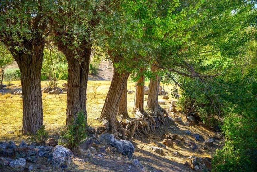 Kahramankazan, tarihi dokusu ve doğal güzellikleriyle göz kamaştırıyor