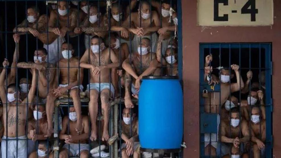 Dünya basınında geniş yer aldı Suçlulara utanç yürüyüşü