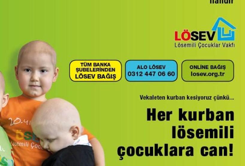 Vekaleten kurban bağışı ne kadar, kaç TL LÖSEV, Mehmetçik Vakfı, İHH, Diyanet Vakfı ve Kızılay