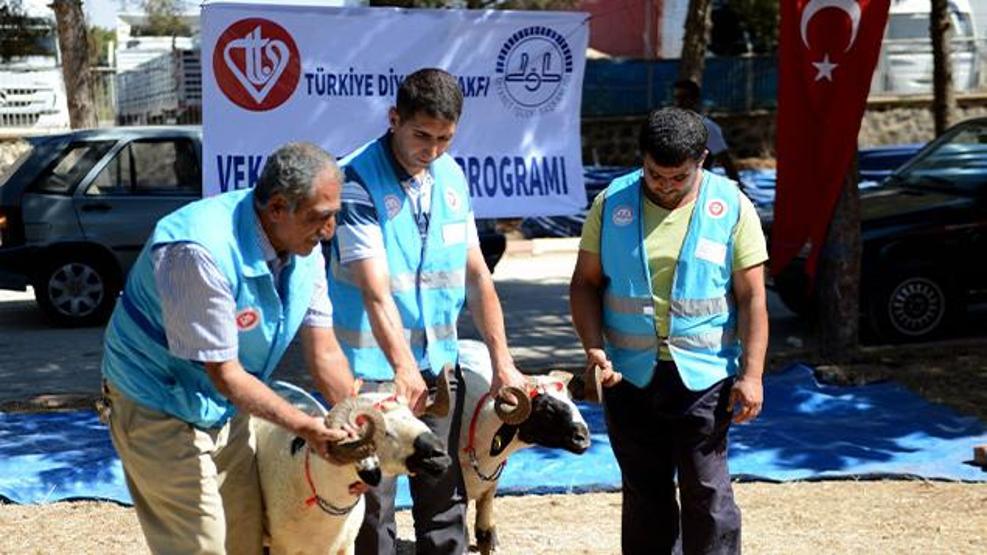 Vekaleten kurban bağışı ne kadar, kaç TL LÖSEV, Mehmetçik Vakfı, İHH, Diyanet Vakfı ve Kızılay