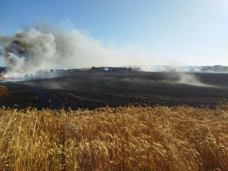 100 ton buğday zarar gördü Silivride tarla alev alev yandı