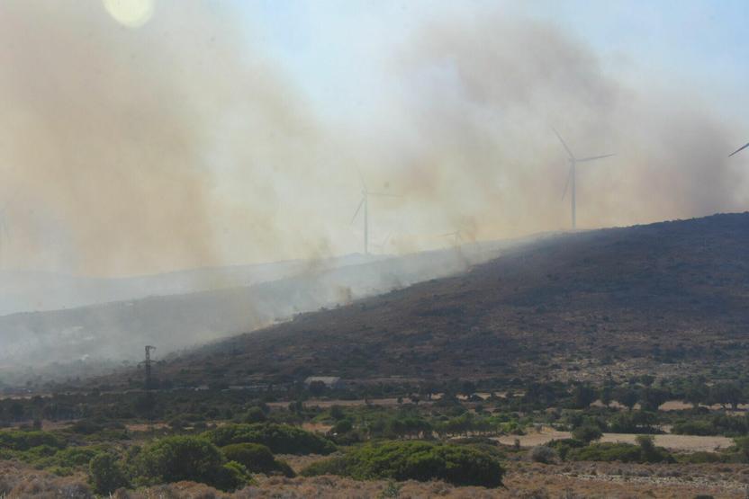Çeşmede orman yangını Sebebi belli oldu