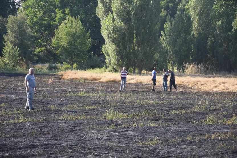 Yangın 30 dakika sürdü ama... 40 dönüm arpa kül oldu