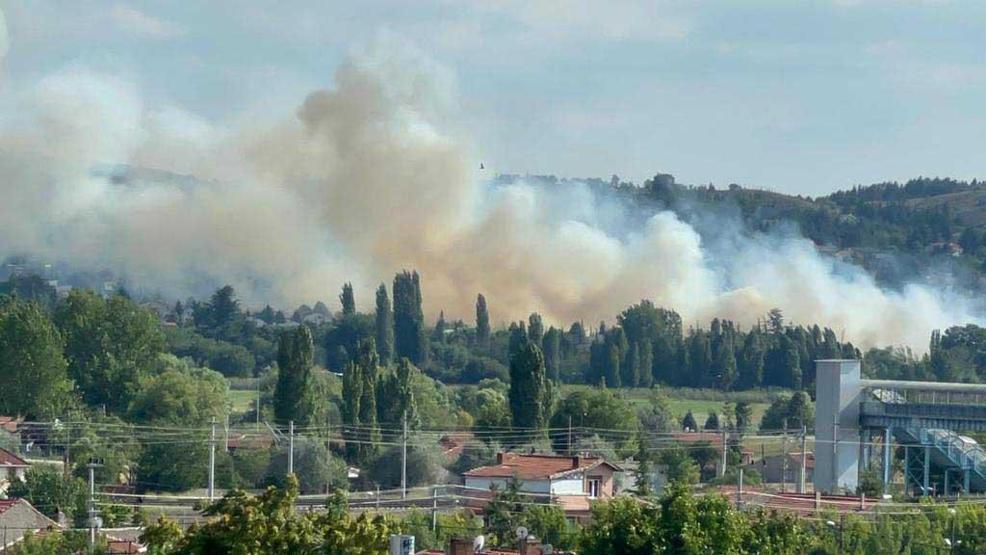 Yangın 30 dakika sürdü ama... 40 dönüm arpa kül oldu