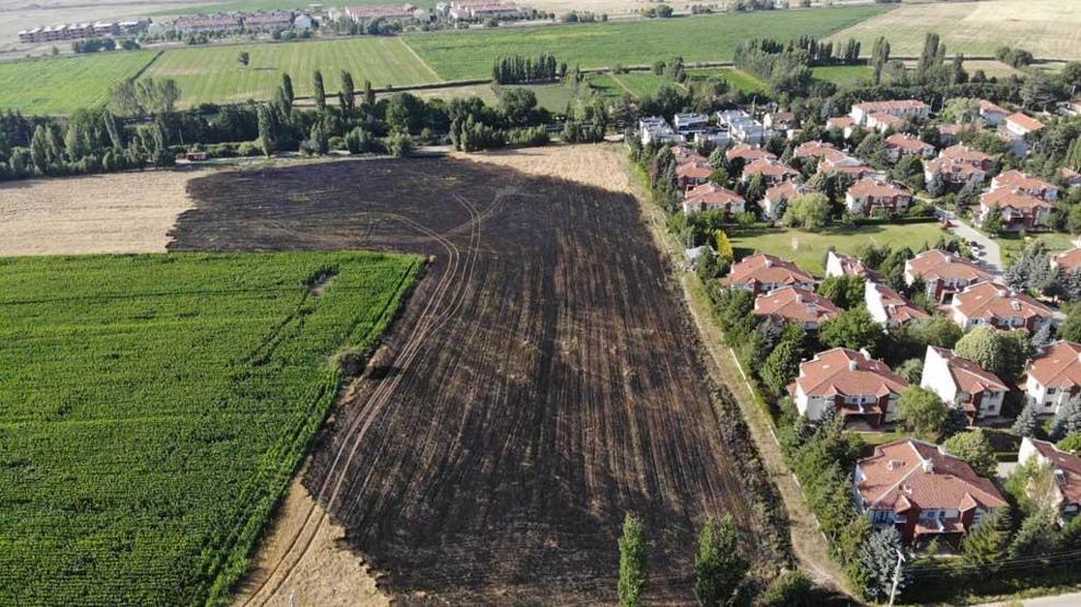 Yangın 30 dakika sürdü ama... 40 dönüm arpa kül oldu