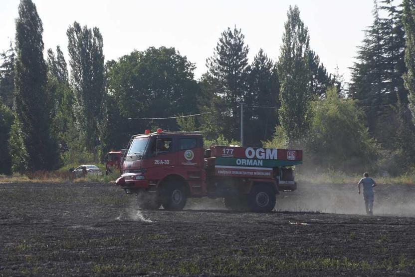 Yangın 30 dakika sürdü ama... 40 dönüm arpa kül oldu