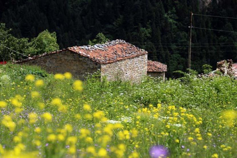 Santa Harabelerinde bahar güzelliği