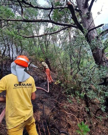 Datça’daki orman yangınında 2’nci gün
