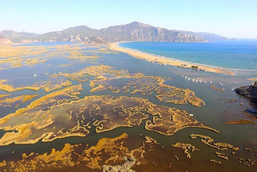 Doğa harikası: Dalyan sazlıkları Manzarayı gören hayran kalıyor