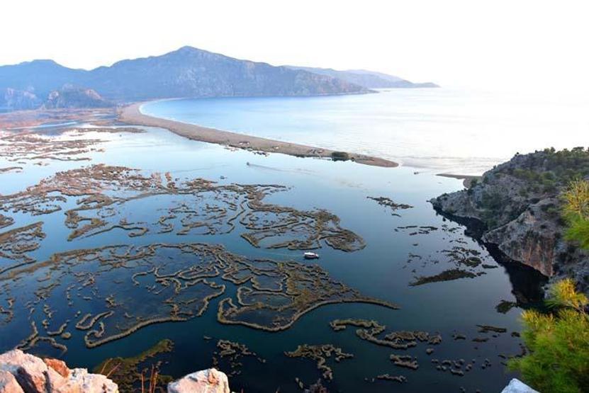 Doğa harikası: Dalyan sazlıkları Manzarayı gören hayran kalıyor
