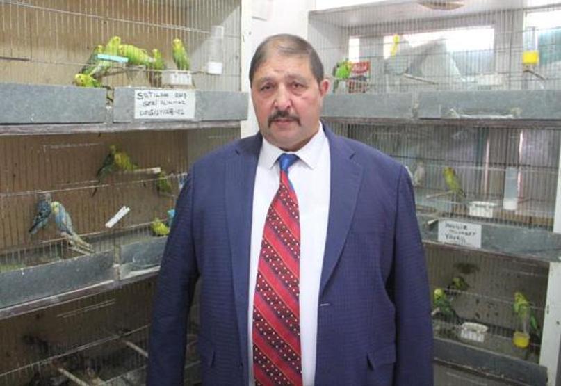 Petshoplar Kasaplar Odasına Bağlandı