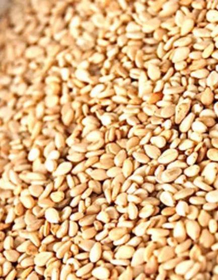 Kronik hastalık kalkanı 15 besin