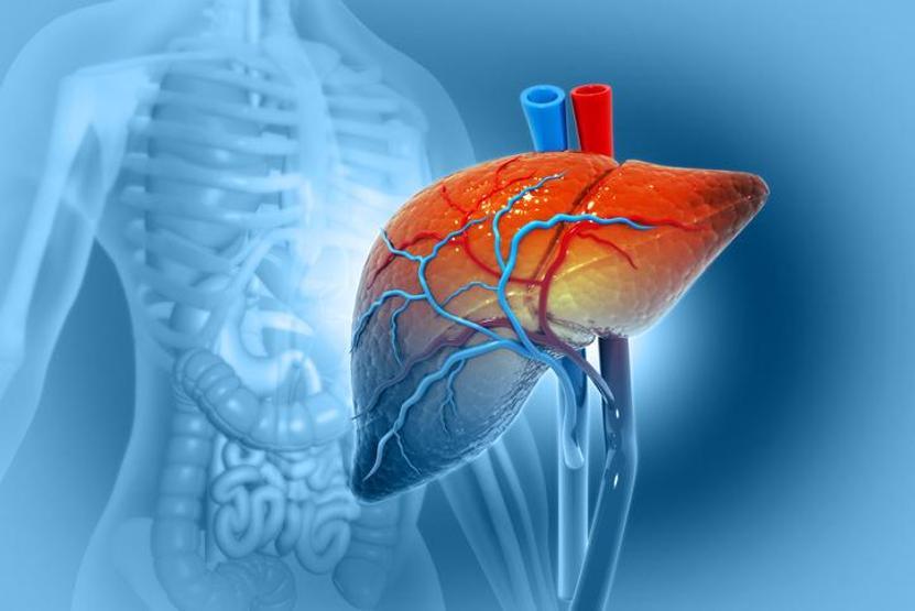 Dünya Hepatit Günü: Hastalıktan nasıl korunmalı