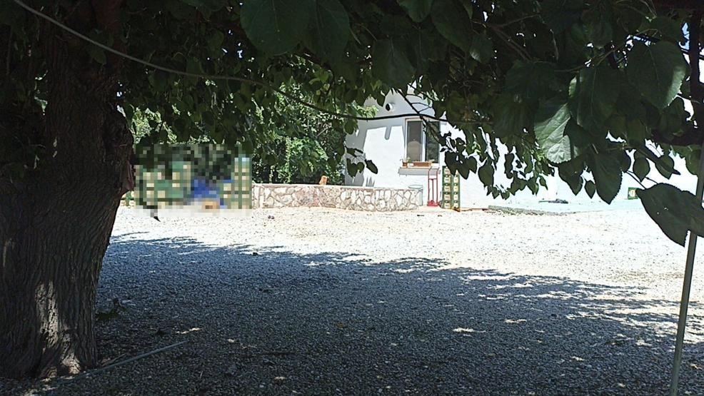 Adli tıp raporu: Zehra, başına sert cisimle vurulması sonucu öldü