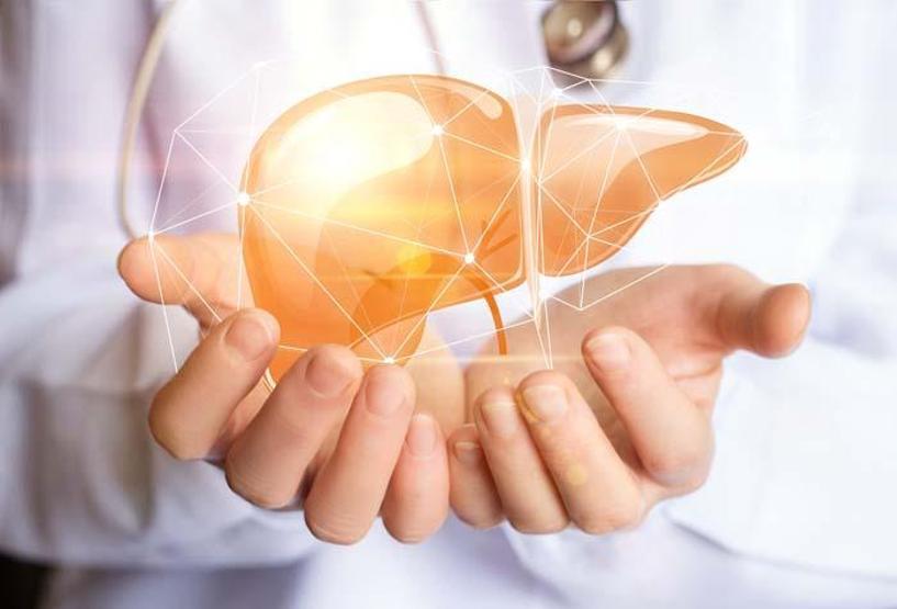7 adımda iç organ yağlanmasına dur deyin