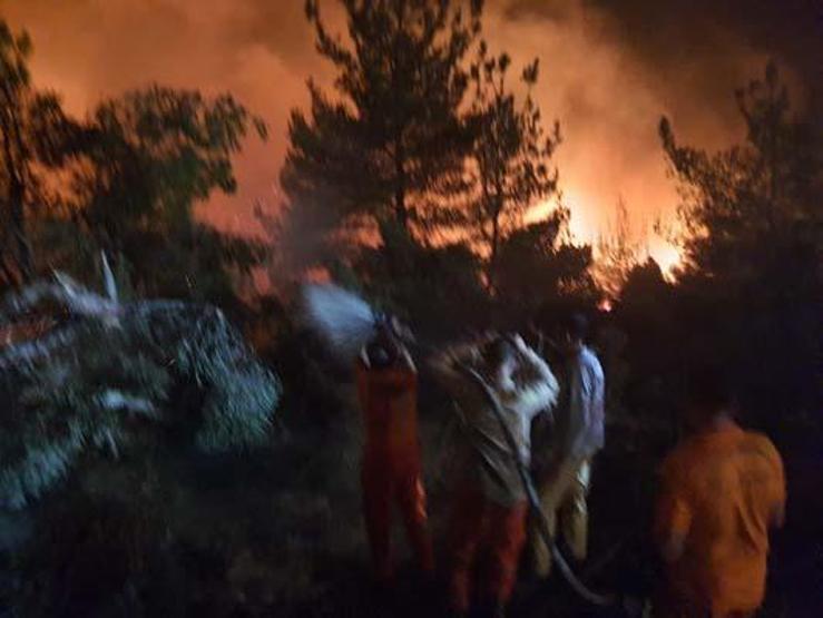 Manisa Somada orman yangını
