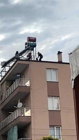 Cins köpekleri elinden alındı: Çatıda eylem yaptı
