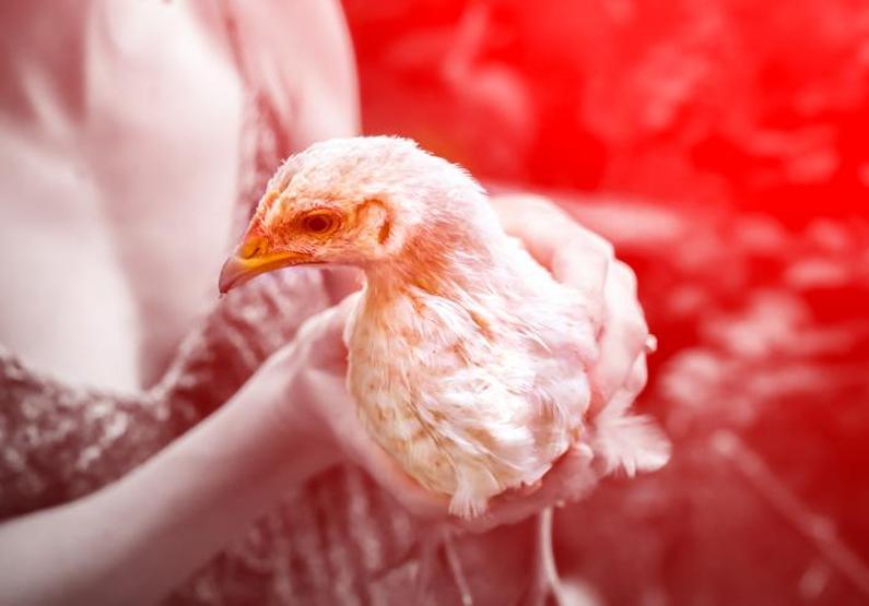 İngiliz profesör yeni pandemi riskine karşı uyardı: Hiçbir doğal korumamız yok