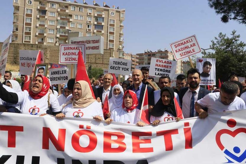 Bakan Soylu Fatih Özerin yakalanmasıyla ilgili detayları açıkladı