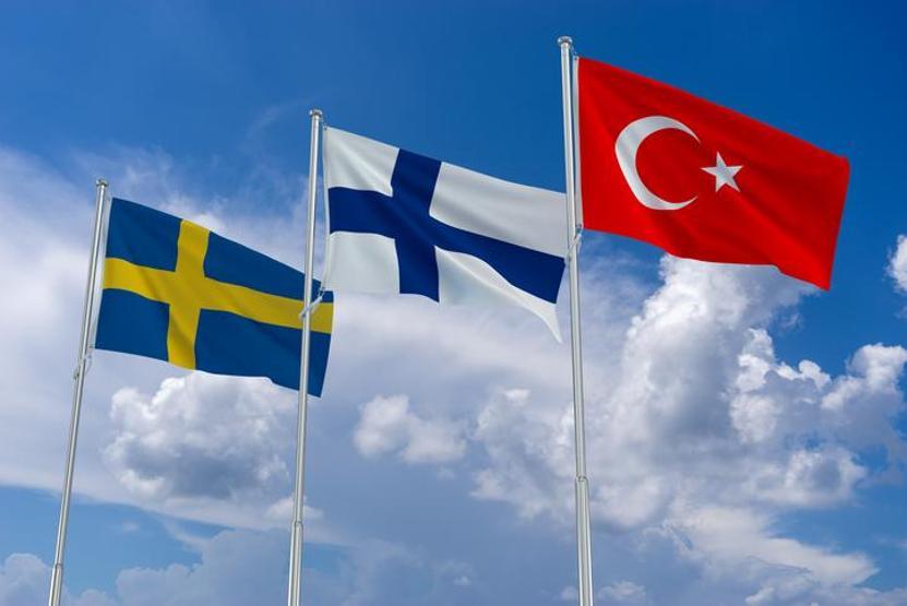 İsveçte gündem Türkiye: Boyun eğdik