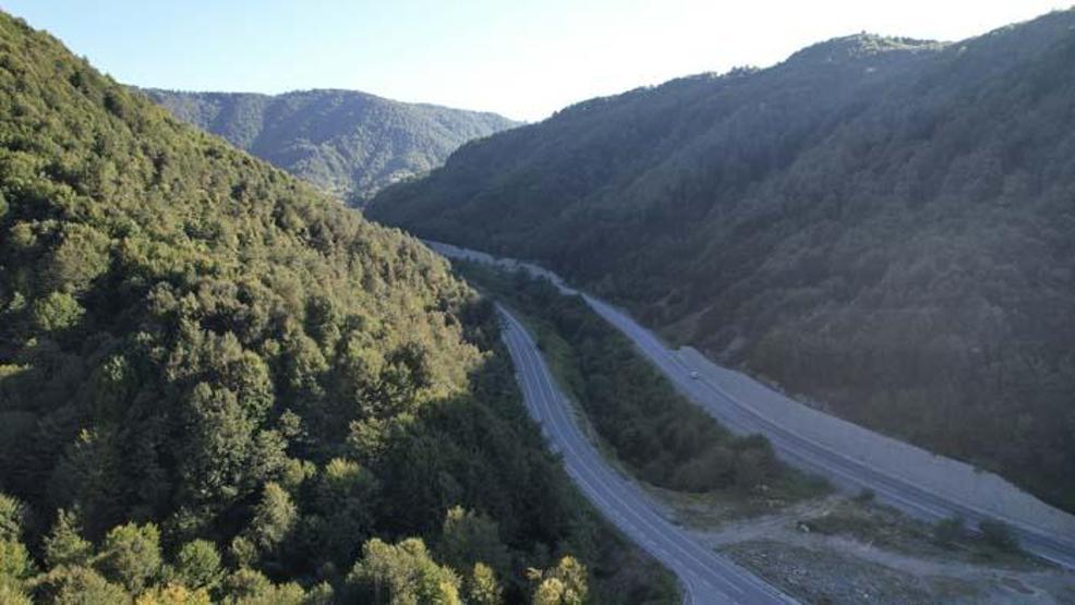 Zonguldak ormanlarında sonbaharda tabloluk görüntüler