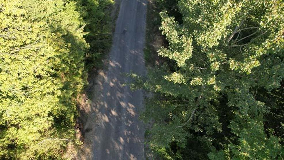 Zonguldak ormanlarında sonbaharda tabloluk görüntüler