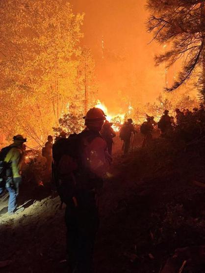 Californiada orman yangını: 11 binden fazla kişi tahliye edildi