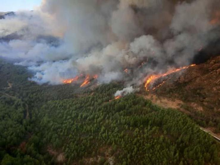 Marmaristeki orman yangınına ikinci gününde kontrol altına alındı