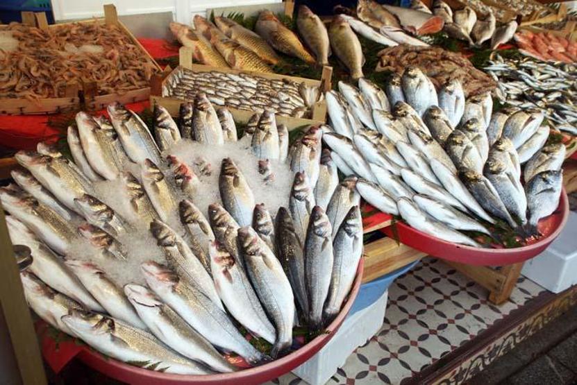 Balık seçerken bu detaya dikkat Uzman isim uyardı: Palamut balığı diye ağır metal tüketmeyin