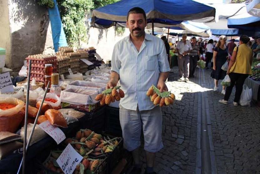 Aydının dağlarında kendiliğinden yetişiyor Sindirimi düzenliyor, kemik erimesi, stres ve yorgunluğa da birebir Kaktüs inciri ilgi odağı oldu