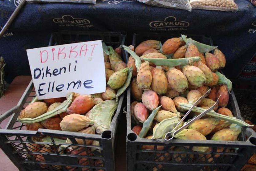 Aydının dağlarında kendiliğinden yetişiyor Sindirimi düzenliyor, kemik erimesi, stres ve yorgunluğa da birebir Kaktüs inciri ilgi odağı oldu