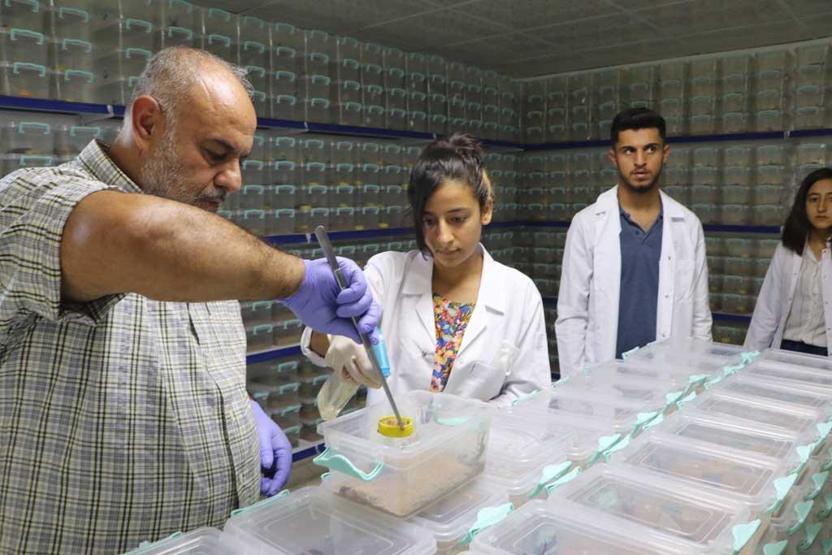Dünyanın en tehlikeli ama en çok kazandıran işi Litresi 10 milyon dolar