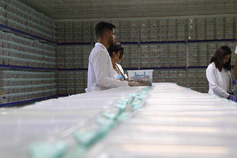 Dünyanın en tehlikeli ama en çok kazandıran işi Litresi 10 milyon dolar