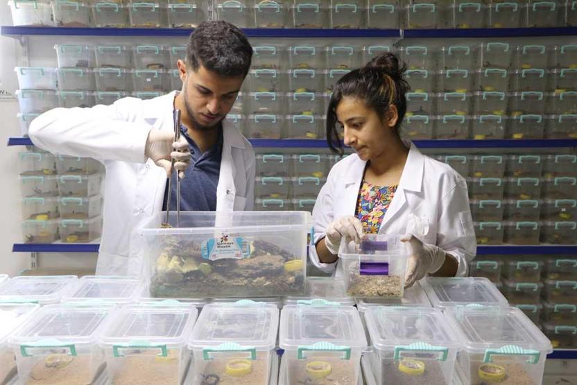 Dünyanın en tehlikeli ama en çok kazandıran işi Litresi 10 milyon dolar