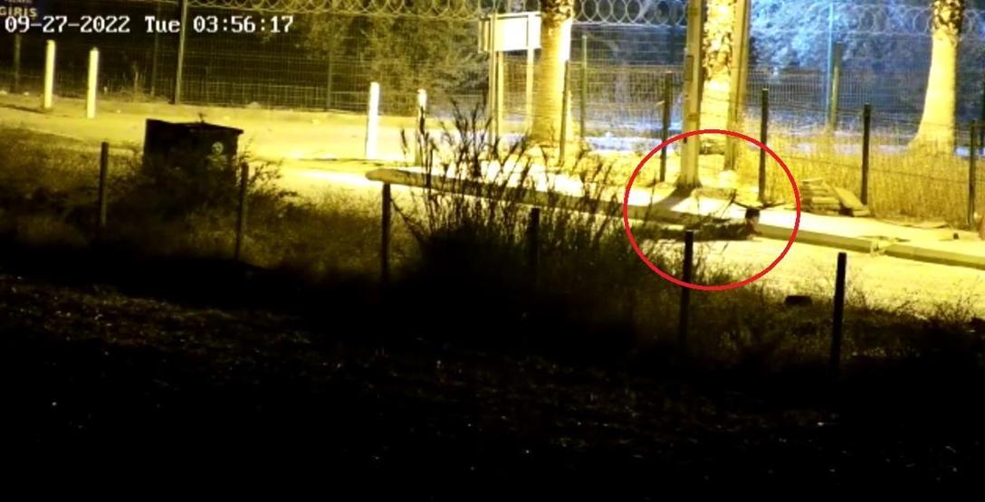 Polisevine saldırıda yaralanan polis memuru Öztürk: Faciayı önledik