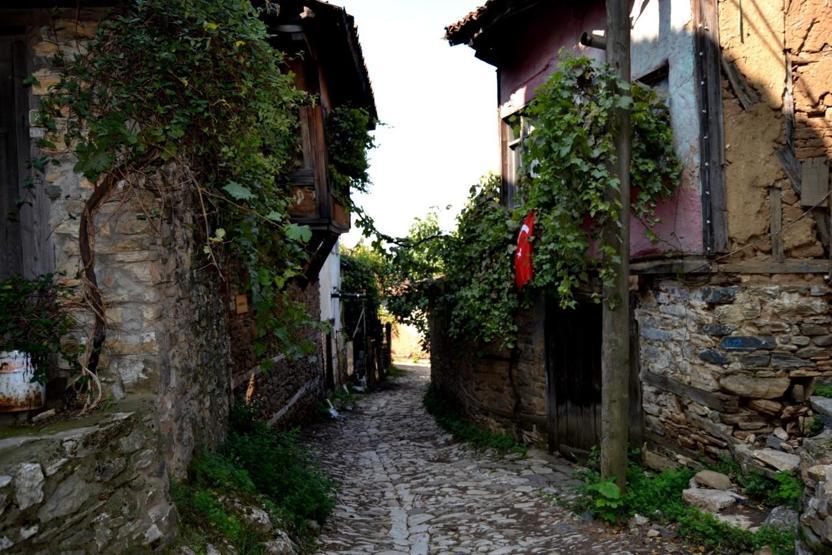 Türkiyede görülmesi gereken sonbahar rotaları Defne İnce yazdı...