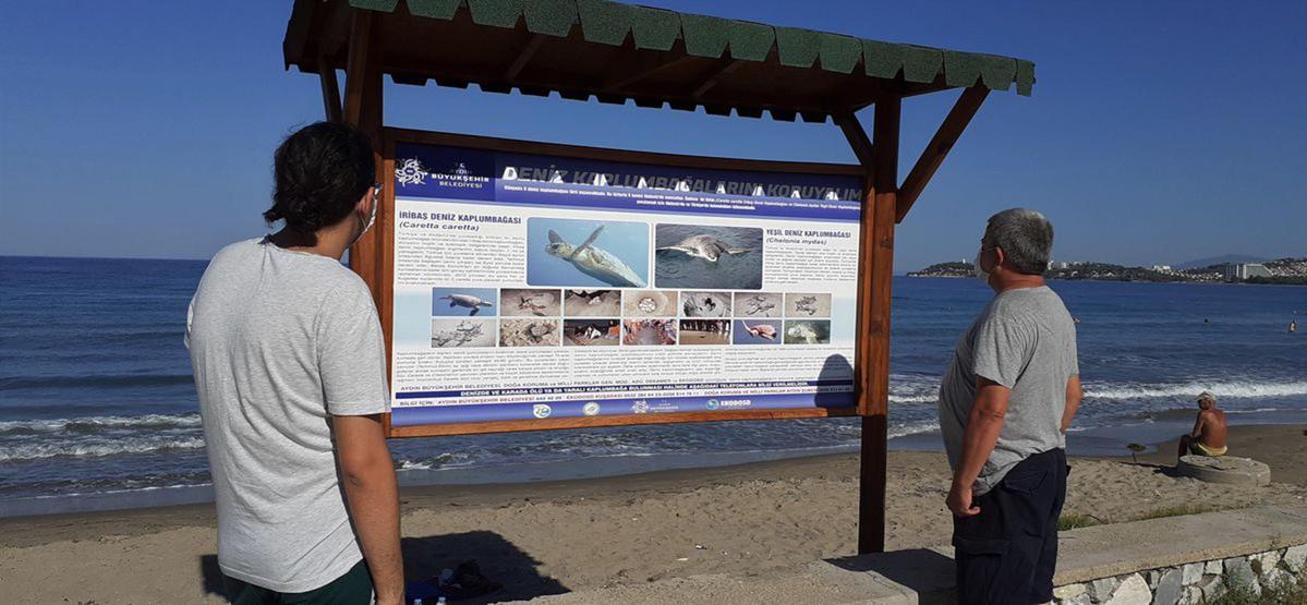 67 caretta caretta yavrusu denizle buluşturuldu