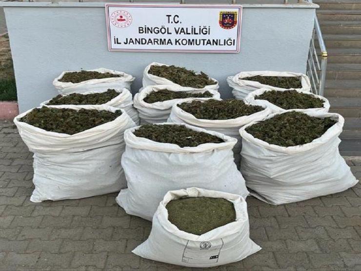 Terörün finans kaynağına darbe: 3 milyon kök kenevir ele geçirildi