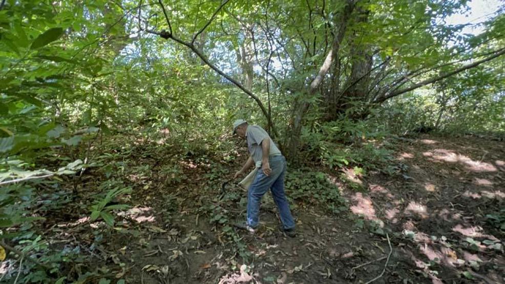 Orman yolunda ilginç kuyruk Kimileri yemek için kimileri satmak için bekliyor