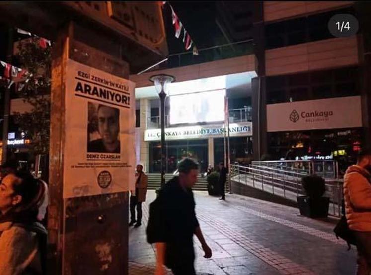 Kadınlar tam 17 şehirde katili arıyor