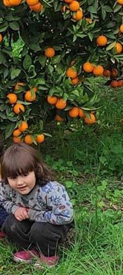 Naz Gülün ölümünde acı detay: Ailesi, bir hafta önce Kozan’a taşınmış