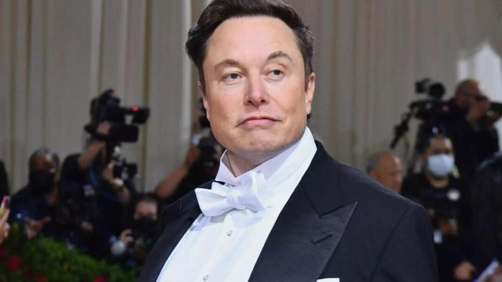 Musk’ı kızdıracak yorum Bilim insanları yanıtladı: Kendini ne zannediyor
