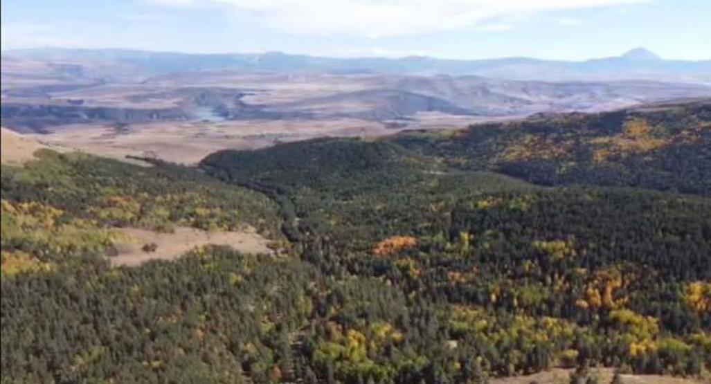 Sarıkamış ormanlarındaki renk cümbüşü havadan görüntülendi