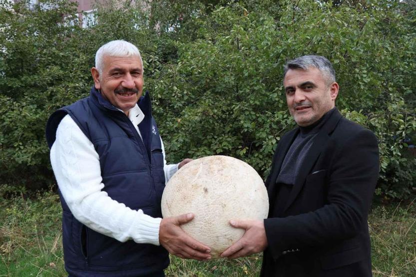 Yürürken 9 kiloluk mantar buldu: Yenilmediğini öğrenince üzüldüm