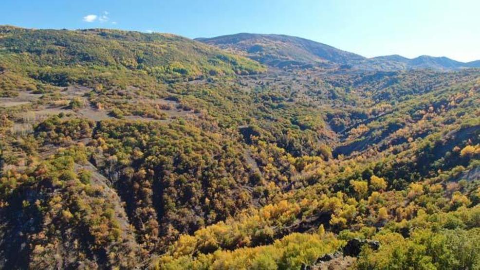 Sonbahar renklerine bürünen Tuncelide doğa, görsel şölen sunuyor