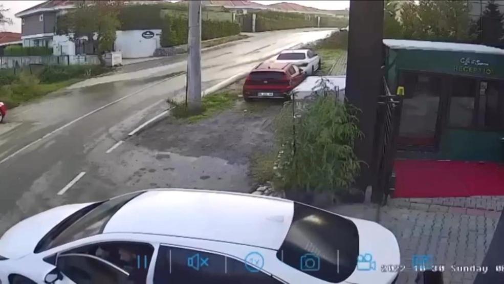 Kapının önünde yatan köpeği ezdi O anlar kamerada