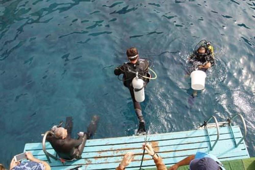 Biyolojik çeşitliliğe zarar veriyor: Onun için birbirleriyle yarıştılar