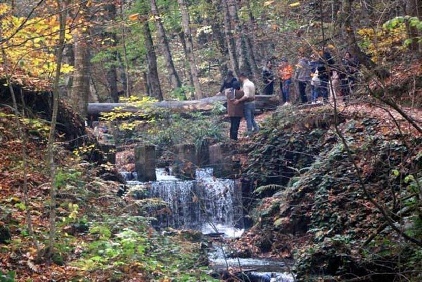 Yedigöllerde sonbahar güzelliği