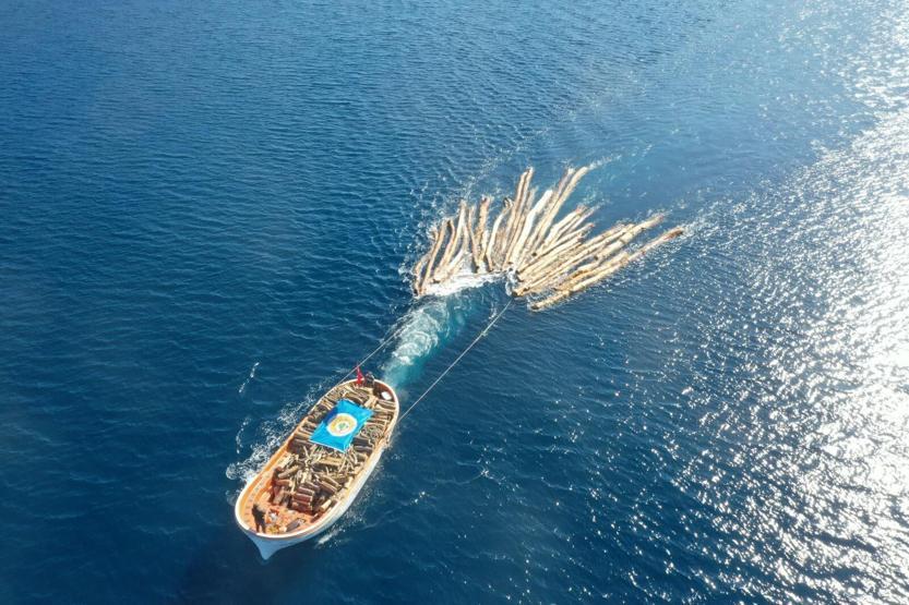 Renkli görüntülere sahne oldu: Denizden tomruk nakliyatı