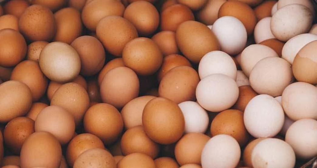 Kolesterolü yükseltecek endişesiyle uzak durmayın Her gün 1 adet yumurta tüketirseniz...